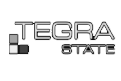Tegra State
